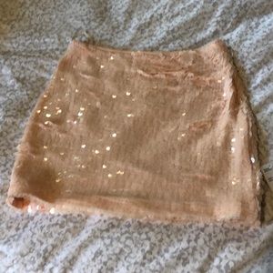 Sequined Skirt